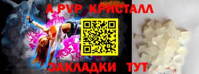 ешки Бийск