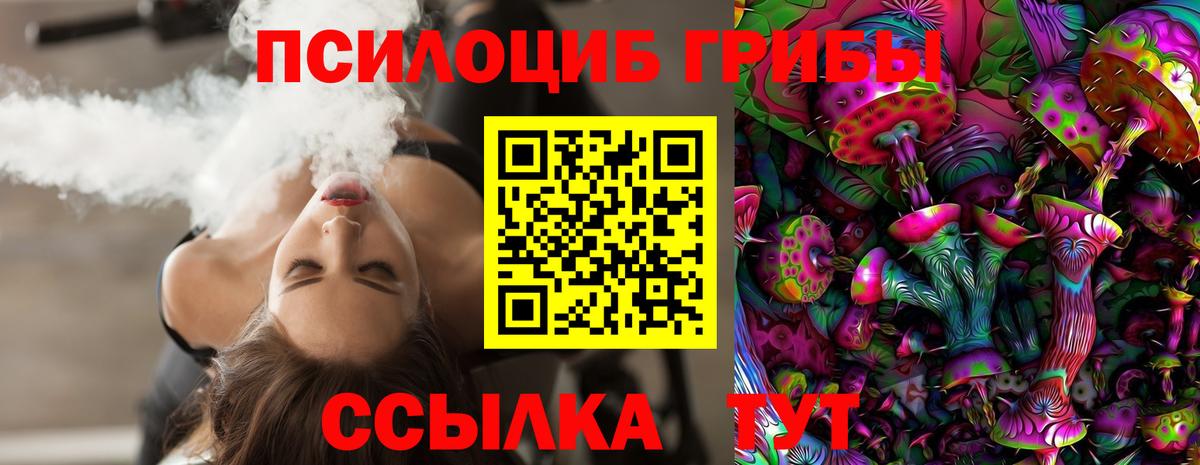 Вичуга  Галлюциногенные грибы MAGIC MUSHROOMS  Вход с VPN 